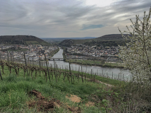 rudesheim