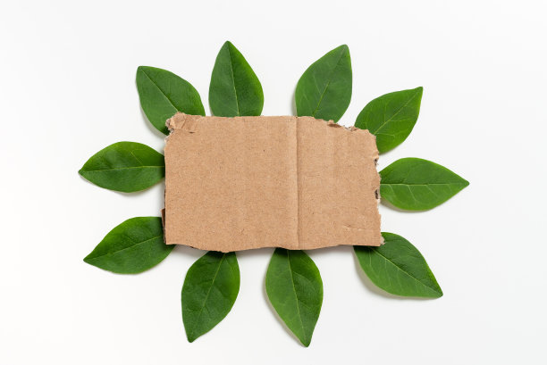 垃圾分类背景墙