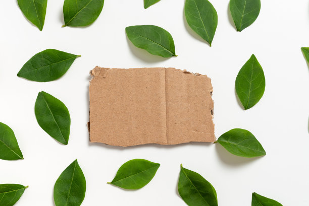 垃圾分类背景墙