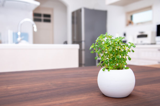 木纹餐桌桌面摆设