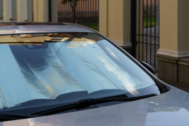 windshield