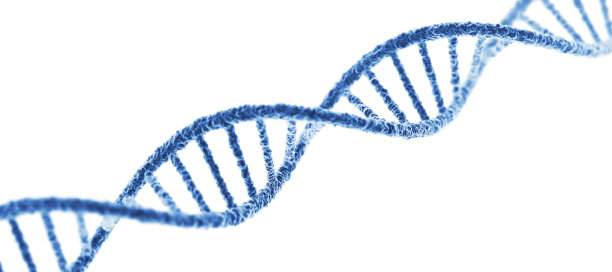 dna