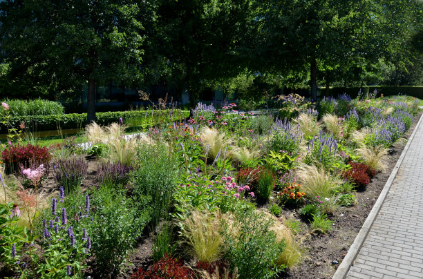 filipendula