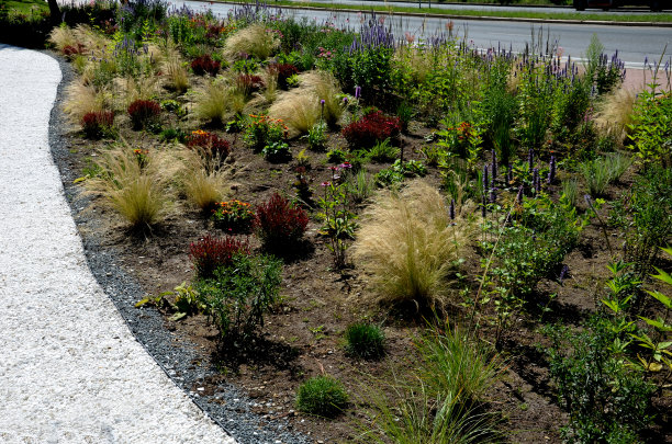 filipendula
