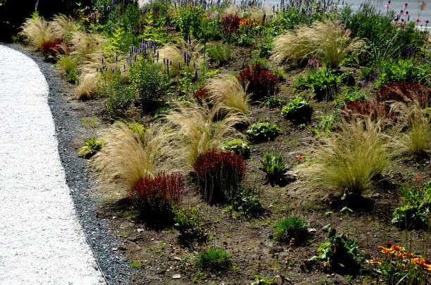 filipendula