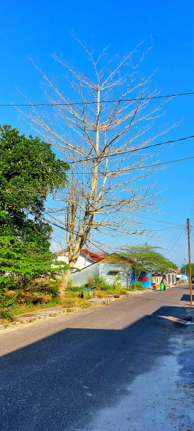 kalimantan