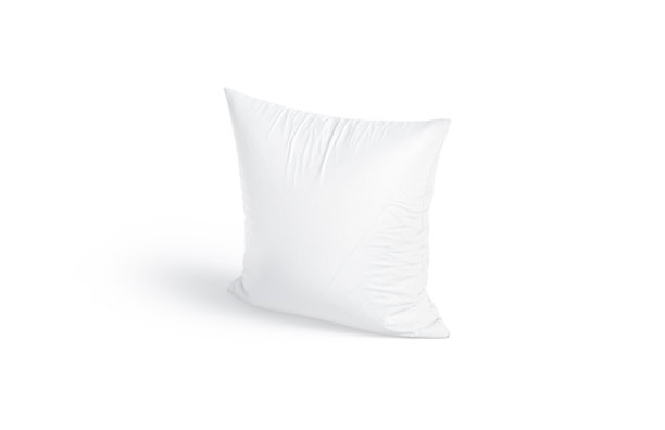 cushion