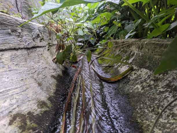 ditch