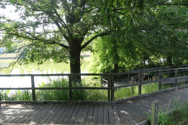 boardwalk