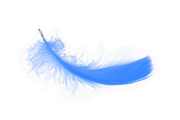 plumage