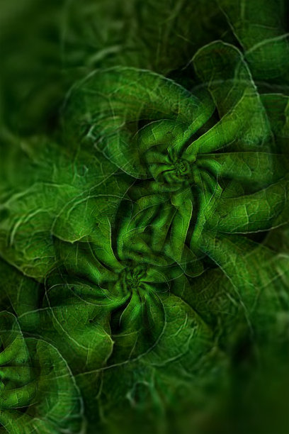 精美绿色圆形几何花纹图案