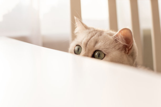peek