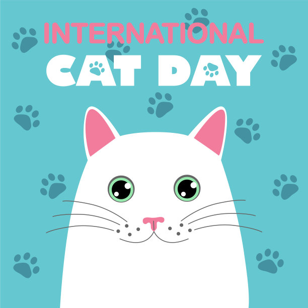 小猫,爪子,猫