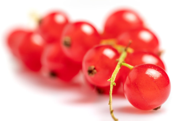 redcurrant