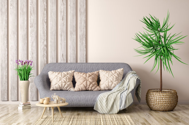 芭蕉叶沙发背景