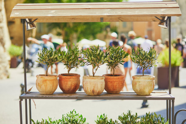 gordes