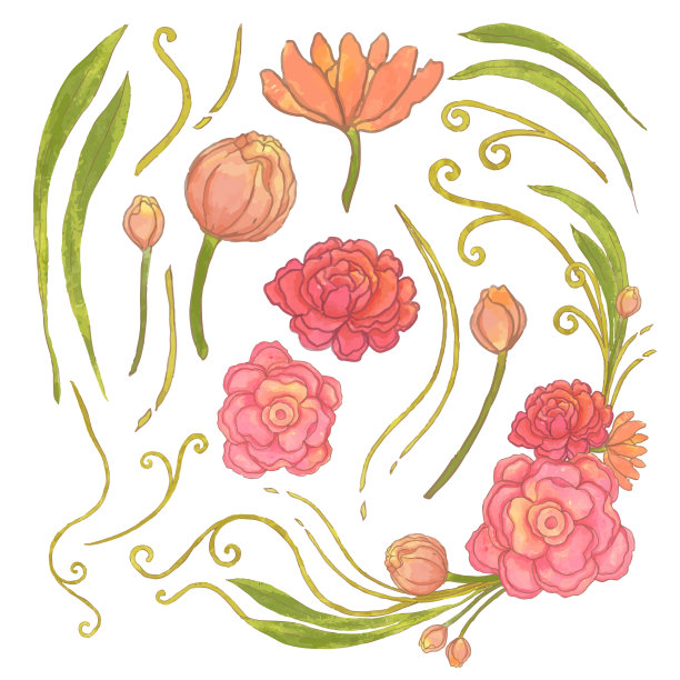 花簇,植物学,请柬