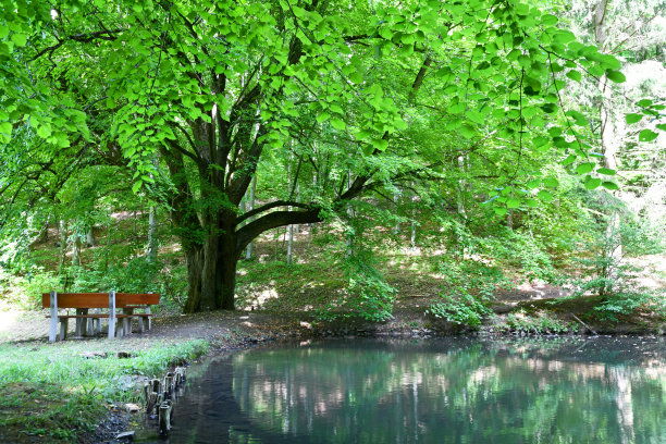rhön