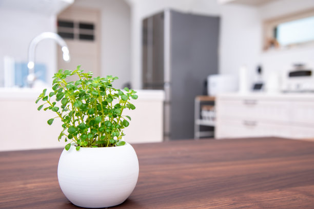 木纹餐桌桌面摆设