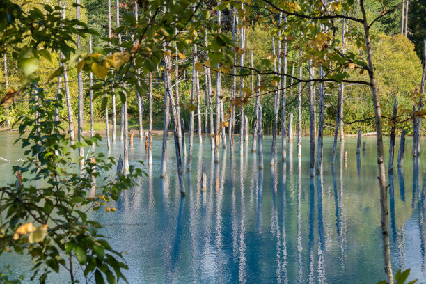 fen