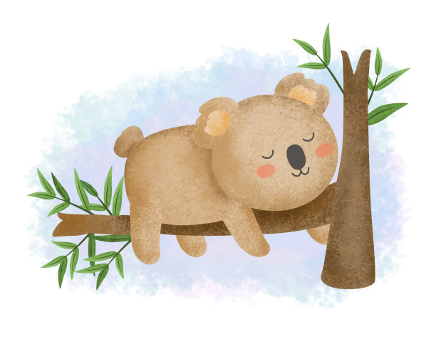 koala