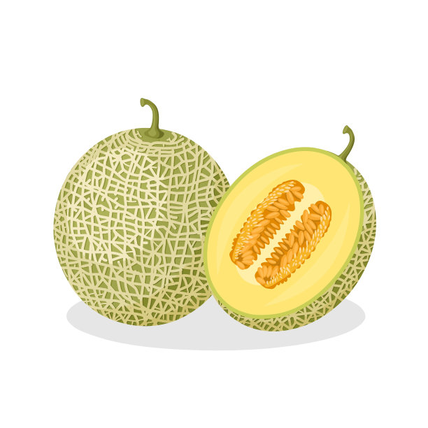 cantaloupe