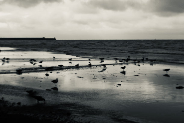 brighton
