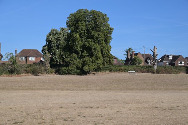 surrey