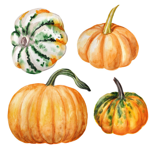 pumpkin