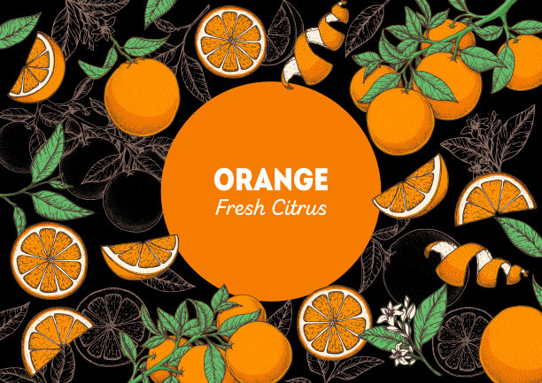 果橙鲜花 手册封面