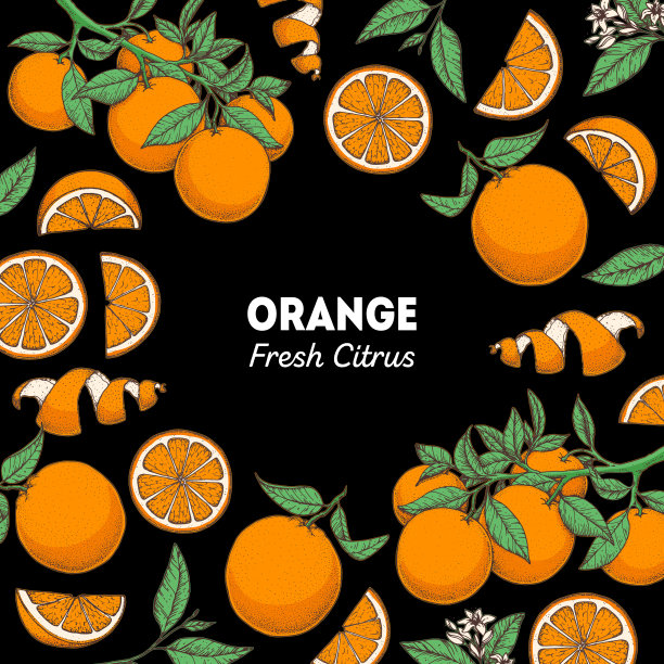 果橙鲜花 手册封面