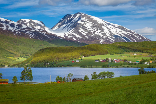 scandinavian