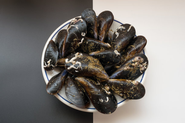 mussels