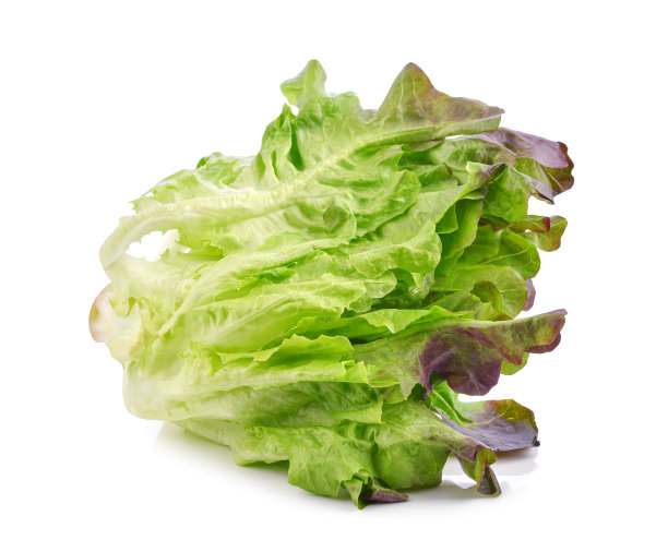 romaine