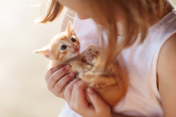 可爱猫咪小女孩