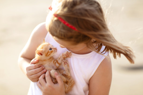 可爱猫咪小女孩