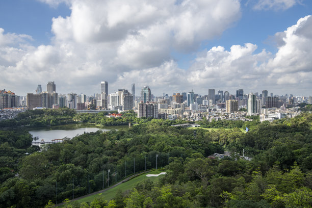 广州城市全景森林