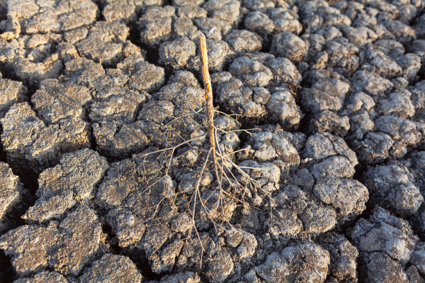 drought