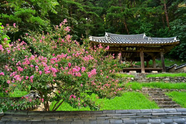 korea