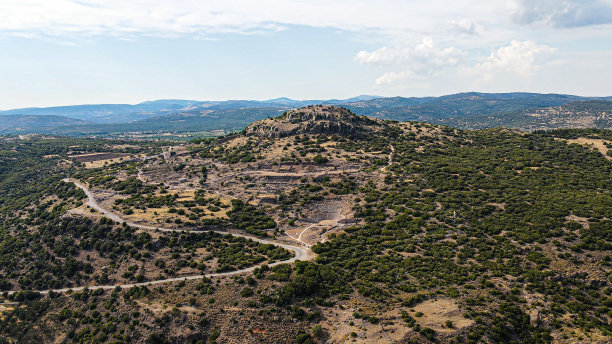 assos