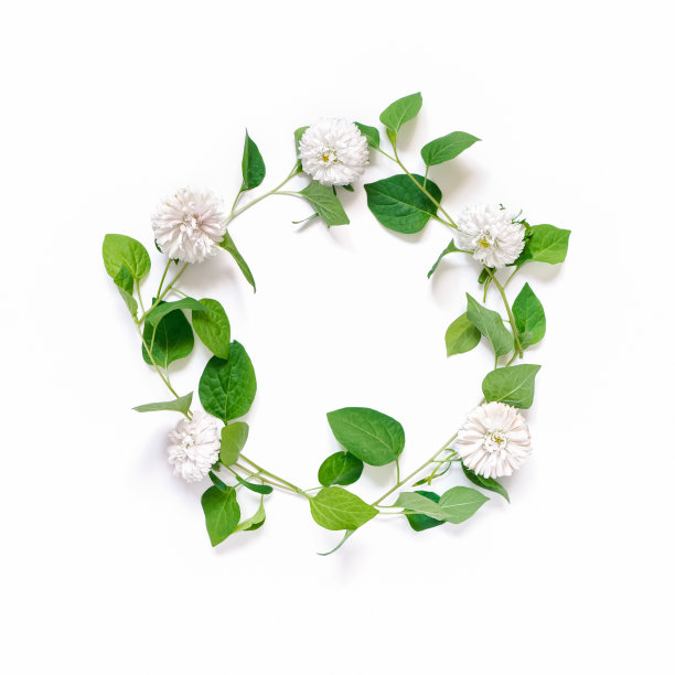 绿色精美圆形花纹图案