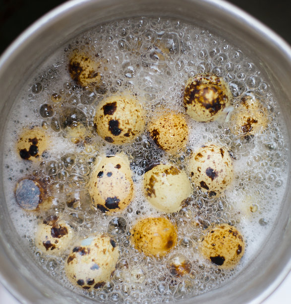 boiled