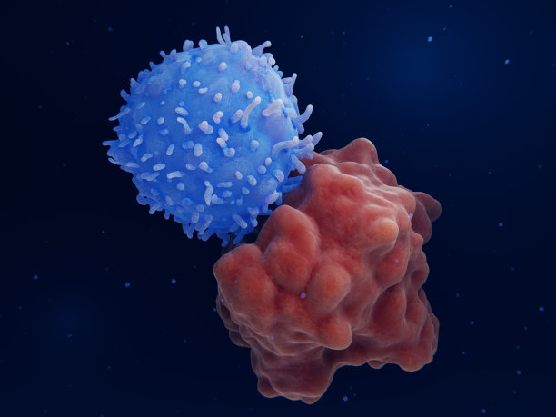 cd4