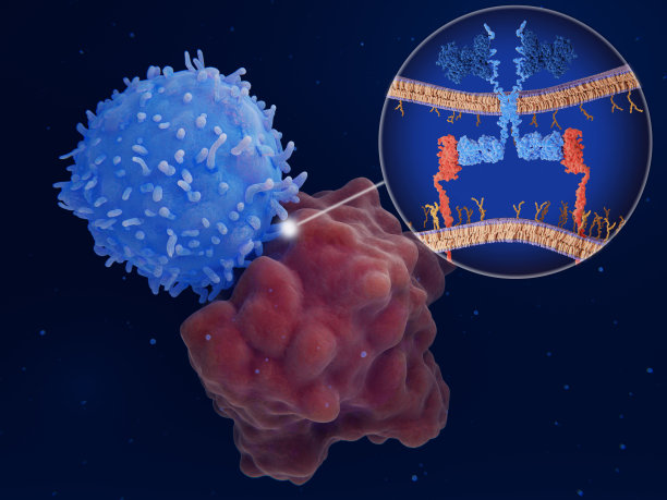 cd4