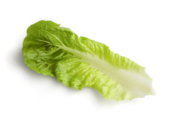 romaine