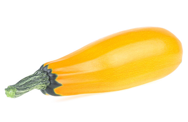 courgette