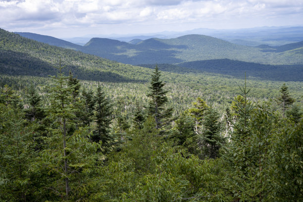 adirondack