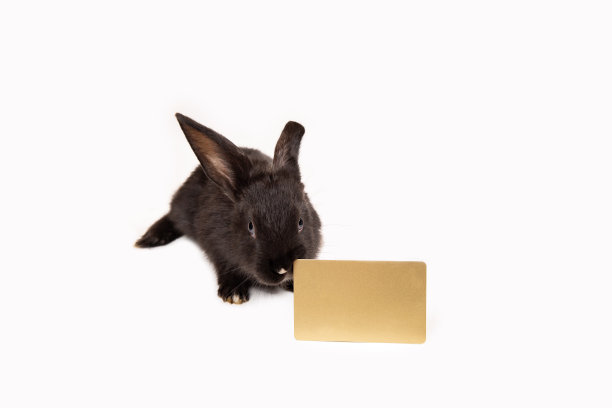 兔子会员卡