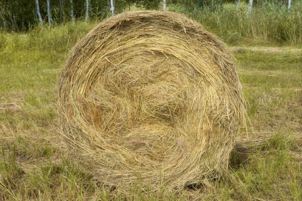 bale