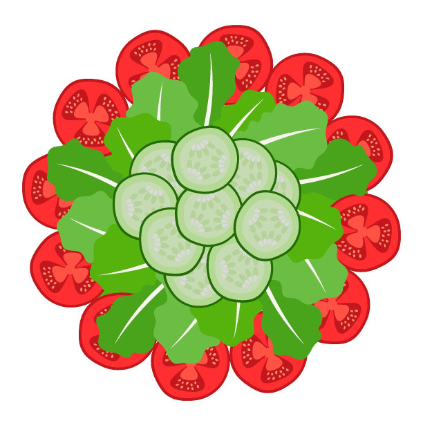 生菜,西红柿,素食